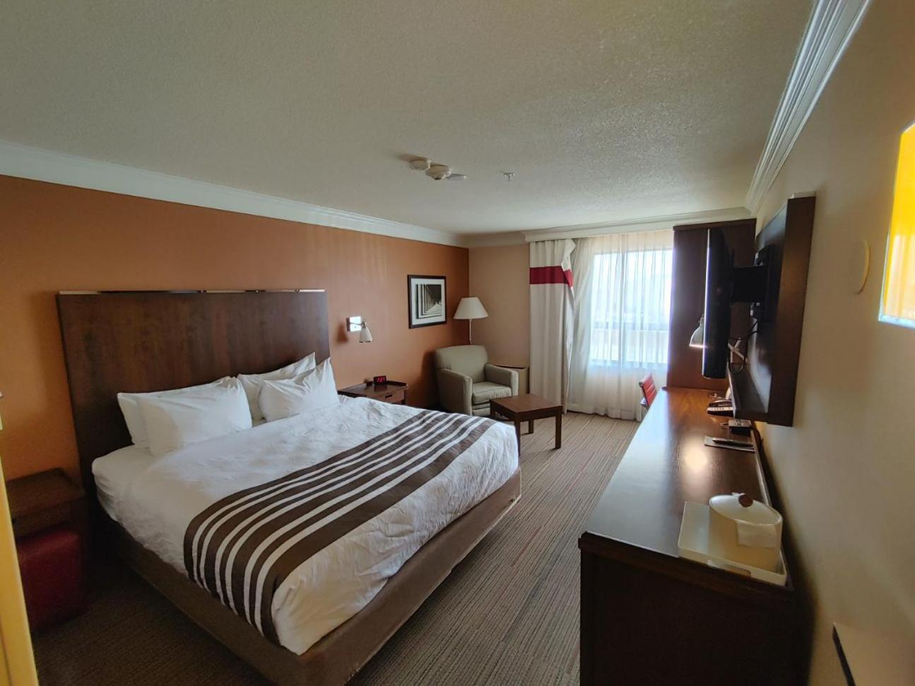 Waterloo Suites Hotel Exterior photo